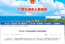 北海房地产2023年11月销售情况：北海新房住宅成交728套，环涨4.30%的配图