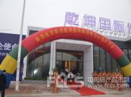 活动现场